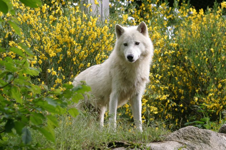 Chasses aux trésors